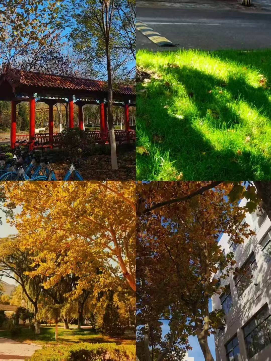 bbin游戏网站大全官网