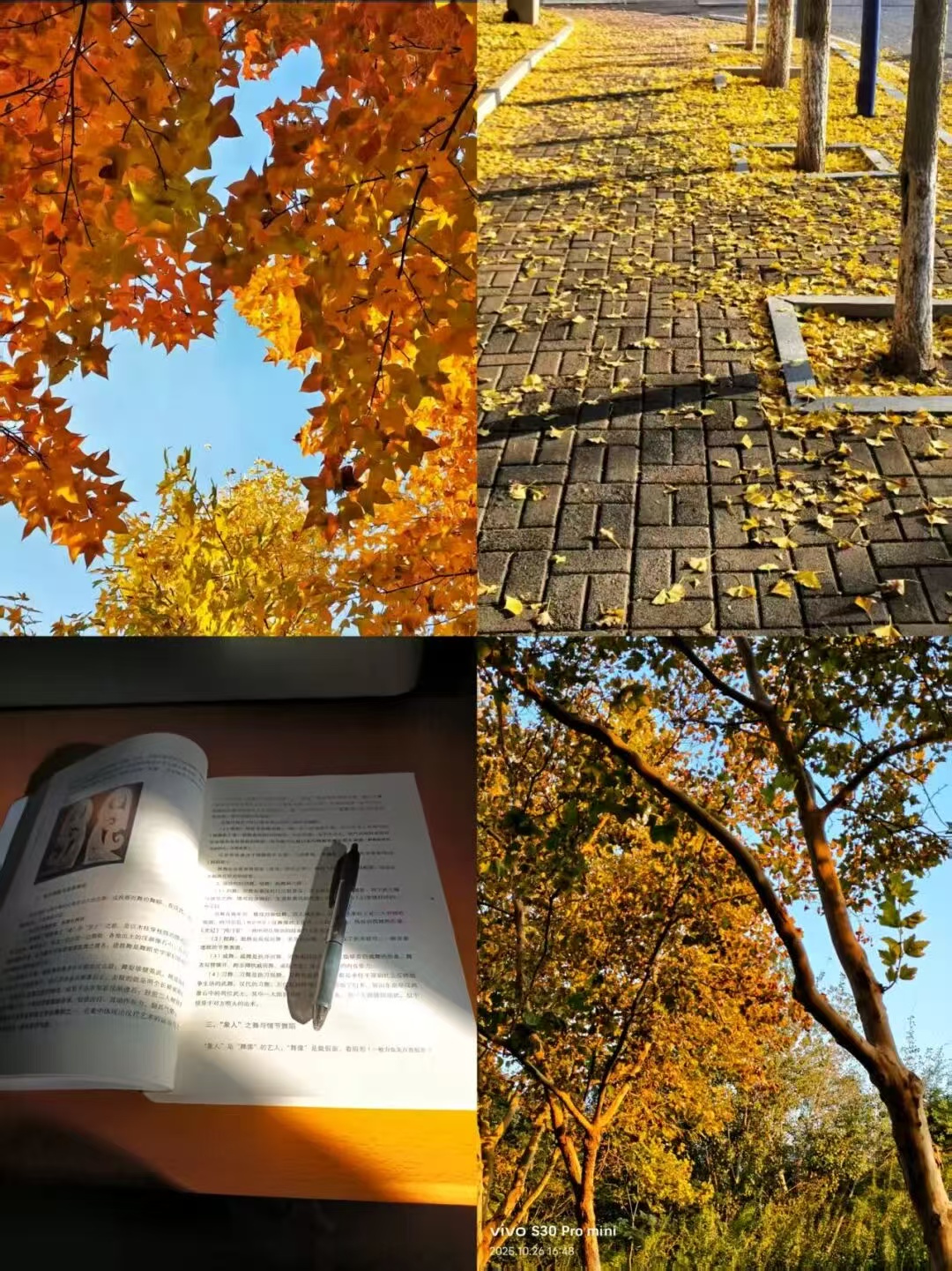 bbin游戏网站大全官网