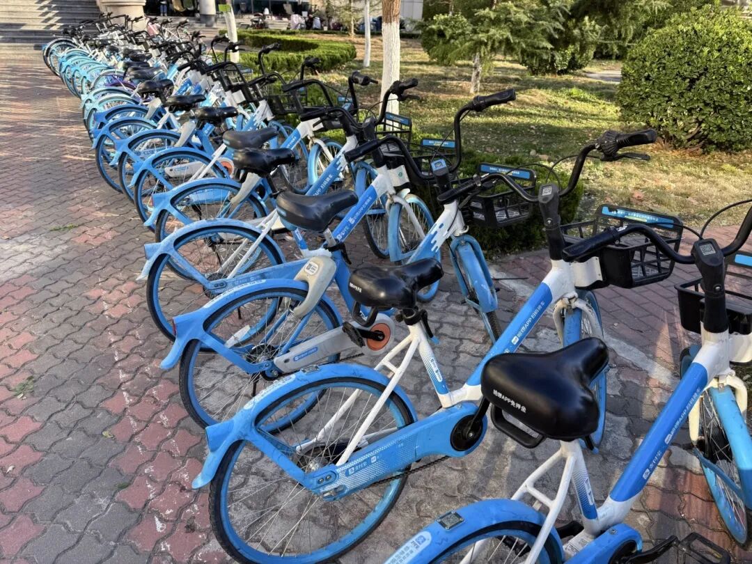 bbin游戏网站大全官网