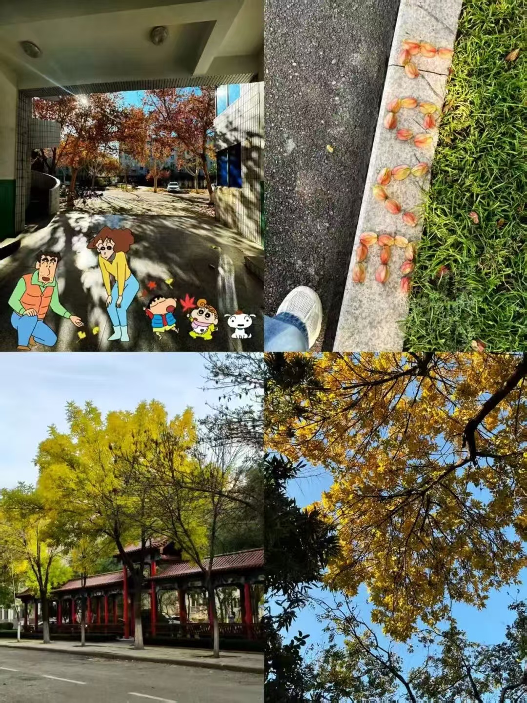 bbin游戏网站大全官网