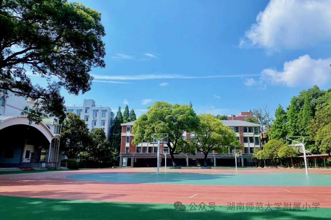 bbin游戏网站大全官网