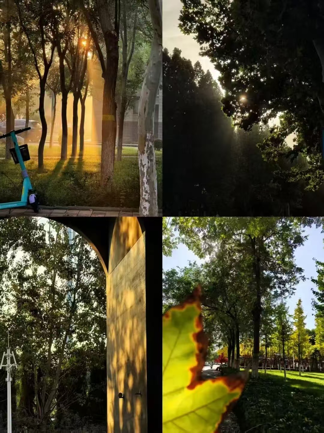 bbin游戏网站大全官网