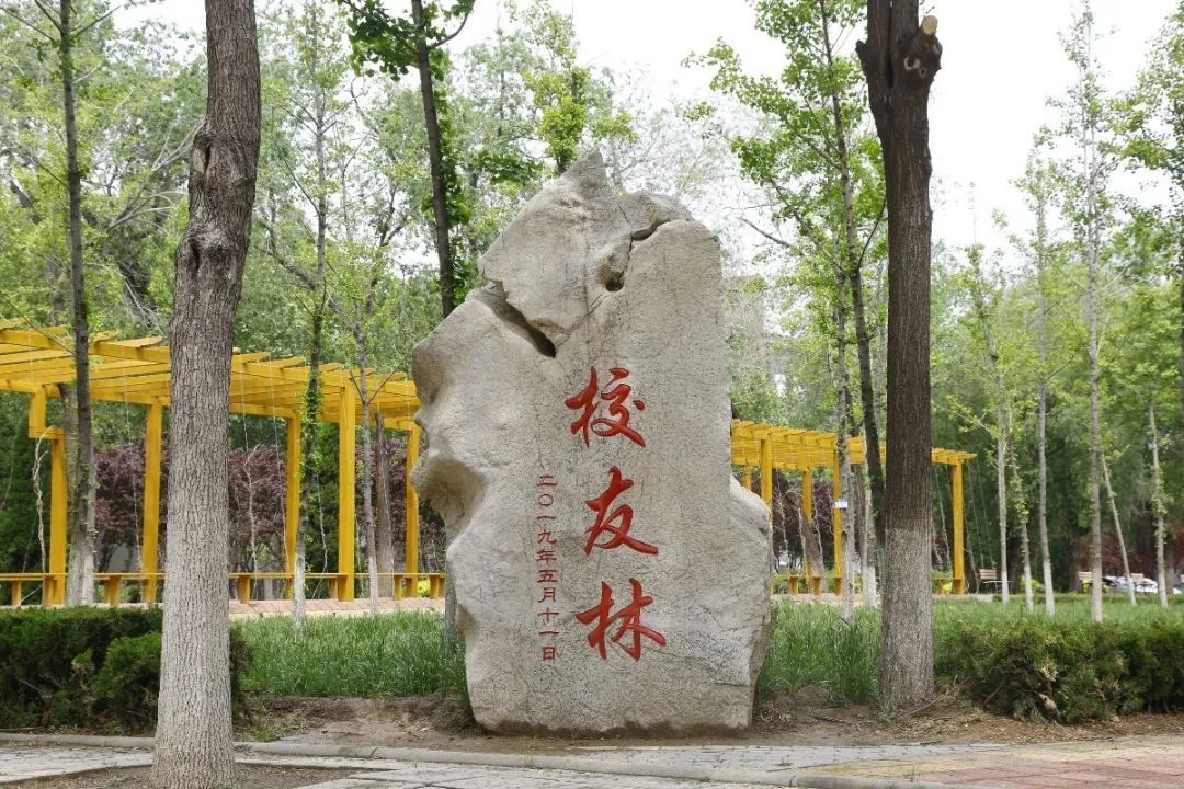 bbin游戏网站大全官网