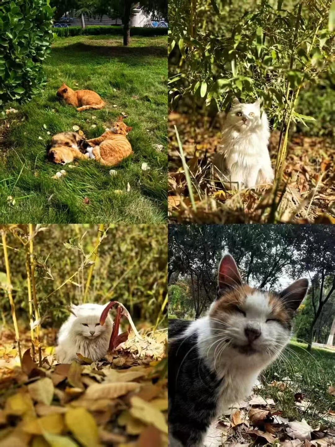 bbin游戏网站大全官网