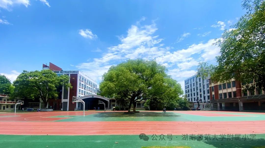 bbin游戏网站大全官网