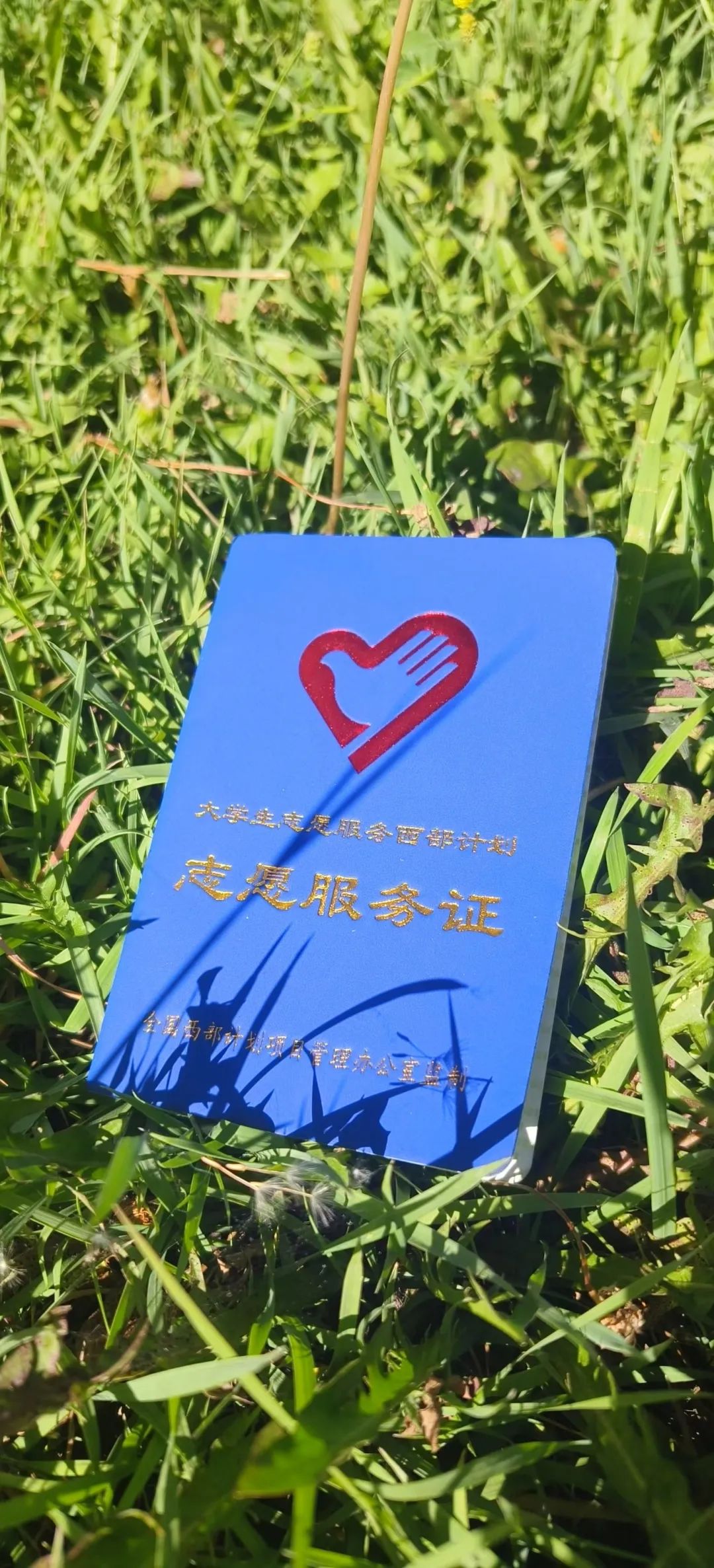 bbin游戏网站大全官网